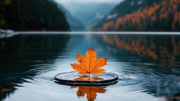 Serene Autumn Maple Leaf Floating on Calm Lake Water with Mountain Background photo
