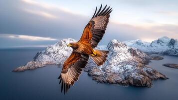 Majestic Eagle Soaring Over Snow Covered Mountains and Ocean photo