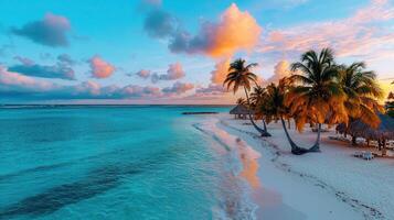 Breathtaking Sunset View of Tropical Beach with Palm Trees and Azure Ocean photo