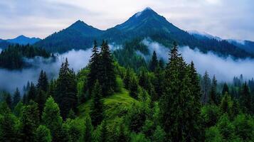 Majestic Mountain Peaks and Foggy Coniferous Forest Landscape Photography photo
