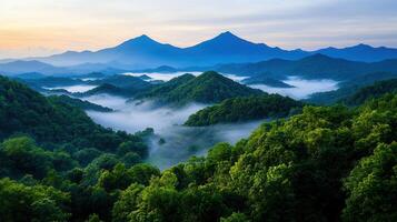 Serene Morning Mist Rolling Through Lush Green Mountains and Valleys photo