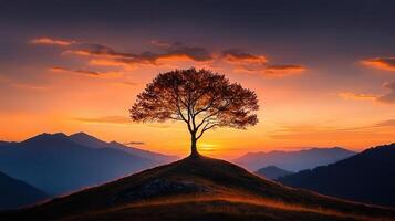 Majestic Sunset Landscape Solitary Tree on Hilltop with Mountain Range photo