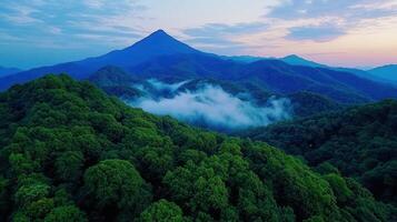 Majestic Mountain Range at Dawn Lush Green Forest Misty Peaks Scenic Vista photo
