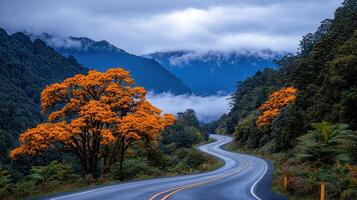 Scenic Winding Road Through Mountains with Vibrant Orange Trees and Misty Peaks photo