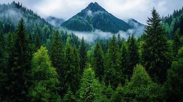 Majestic Mountain Peak Overlooking Lush Evergreen Forest Landscape photo