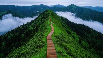 Serene Mountaintop Wooden Path Winding Through Lush Green Landscape Foggy Vista photo