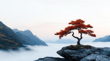 Serene Autumnal Tree on Mountaintop Above Cloudscape Scenic Landscape photo