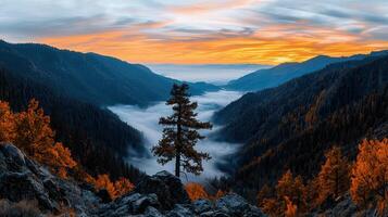 Majestic Mountain Valley Sunrise Autumnal Colors Fog and Lone Pine photo