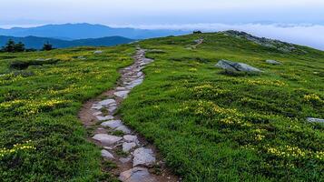 Serene Mountaintop Hiking Trail with Wildflowers and Distant Blue Mountains photo