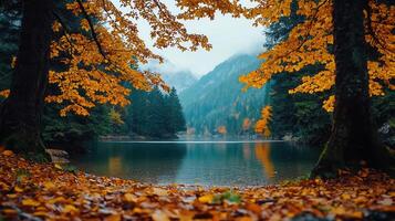 Serene Autumn Lake in Mountain Forest Golden Leaves Fall Scenery photo
