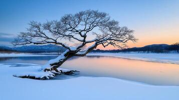 Serene Winter Landscape Snow Covered Tree by Frozen River at Sunset photo