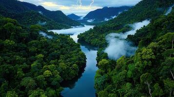 Majestic Rainforest River Landscape Lush Green Canopy Fog and Dramatic Sky photo