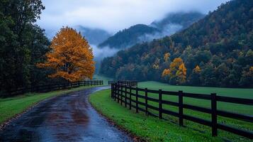 Scenic Autumn Driveway Rolling Hills Misty Mountains Golden Tree Wooden Fence photo