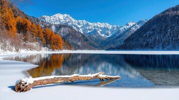 Serene Winter Landscape Frozen Lake Snow Covered Mountains and Golden Larch Trees photo