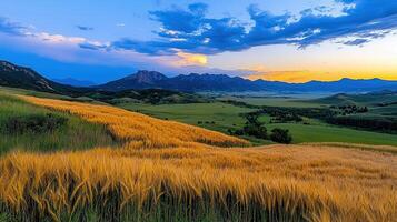 Golden Wheat Field at Sunset with Majestic Mountain Range Landscape Photography photo