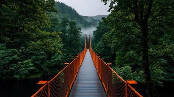 Serene Suspension Bridge Pathway Through Lush Green Forest Landscape photo