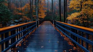 Serene Autumn Walkway Dark Wood Bridge in Colorful Fall Forest photo