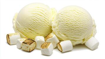 Delicious Vanilla Ice Cream Scoops with Toasted Marshmallows photo
