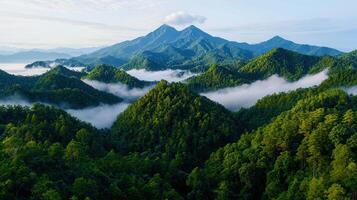 Majestic Misty Mountains Panoramic View of Lush Green Peaks and Rolling Hills photo