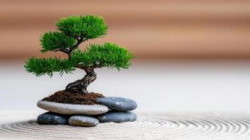 Serene Bonsai Tree in Zen Garden with Stacked Stones and Sand Pattern photo