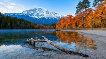 Stunning Autumn Lake Reflection with Majestic Snow Capped Mountains and Colorful Trees photo