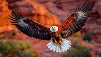Majestic Bald Eagle in Flight over Dramatic Red Rock Landscape photo