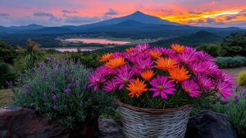 Vibrant Pink and Orange Flowers in Basket at Sunset Mountain View photo