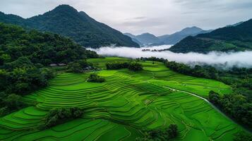 Stunning Aerial View of Lush Green Rice Terraces in Mountain Valley with Fog photo