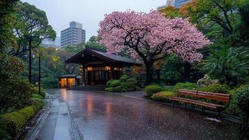 Serene Rainy Day in Japanese Garden with Cherry Blossoms and Pavilion photo