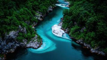 Aerial View of Turquoise River Winding Through Lush Green Forest Landscape photo