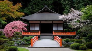 Serene Japanese Garden Temple with Blossoming Cherry Trees and Bridge photo