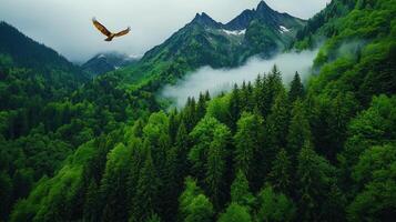 Majestic Eagle Soaring Over Misty Mountain Forest Landscape photo