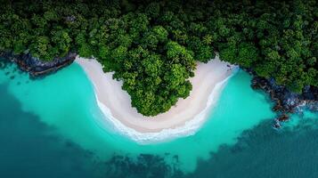 Aerial View of Secluded Tropical Beach with Lush Green Island Paradise photo