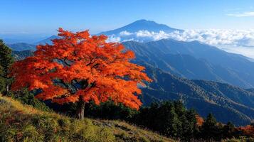 Vibrant Autumn Maple Tree on Mountain Peak Panoramic Landscape View photo