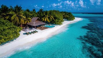 Luxurious Tropical Beach Villa with Private Pool Turquoise Water and Palm Trees photo