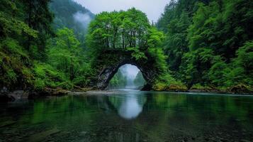 Serene Natural Stone Arch Bridge in Lush Green Forest River Landscape photo