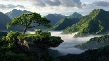 Serene Mountaintop Tree Misty Valley Landscape Panorama photo