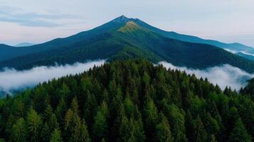 Majestic Mountain Peak Rising Above Misty Evergreen Forest Landscape photo