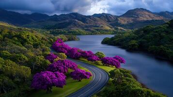 Scenic Winding Road Through Lush Green Landscape with Vibrant Purple Trees and Serene Lake photo