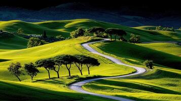 Winding Country Road Through Rolling Green Hills and Lush Meadows photo