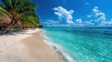 Idyllic Tropical Beach Scene White Sand Turquoise Water Palm Trees and Beach Loungers photo