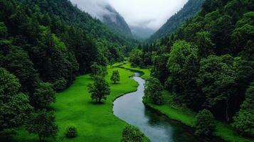 Serene River Winding Through Lush Green Valley Landscape Foggy Mountains photo