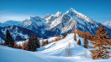 Majestic Winter Alps Mountain Range Panorama Snow Covered Peaks Alpine Lodge and Evergreen Trees photo