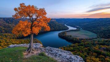 Scenic Autumn River Valley Landscape with Vibrant Orange Tree on Clifftop photo