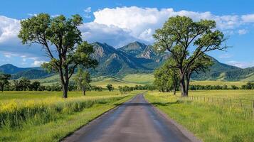 Scenic Country Road Winding Through Lush Green Fields Towards Majestic Mountains Under a Blue Sky photo