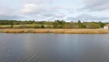 A lake with a house and trees in the background photo