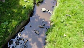 A stream running through a grassy field photo