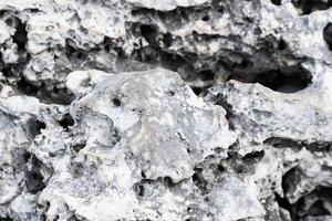 light limestone with texture visible. photo
