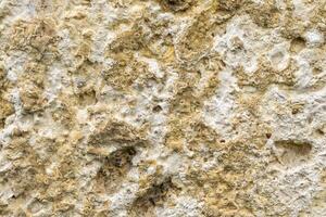 light limestone texture visible. background photo