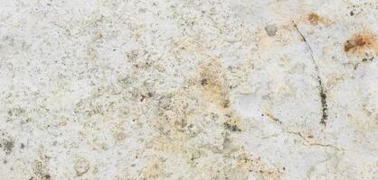 limestone with interesting texture visible photo